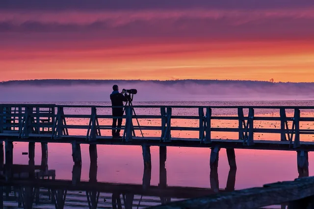 bridge, man, camera, photographer, sunset, sea, sunrise, nature, water, fog. Photography demand signals a studio can track in its own monthly numbers