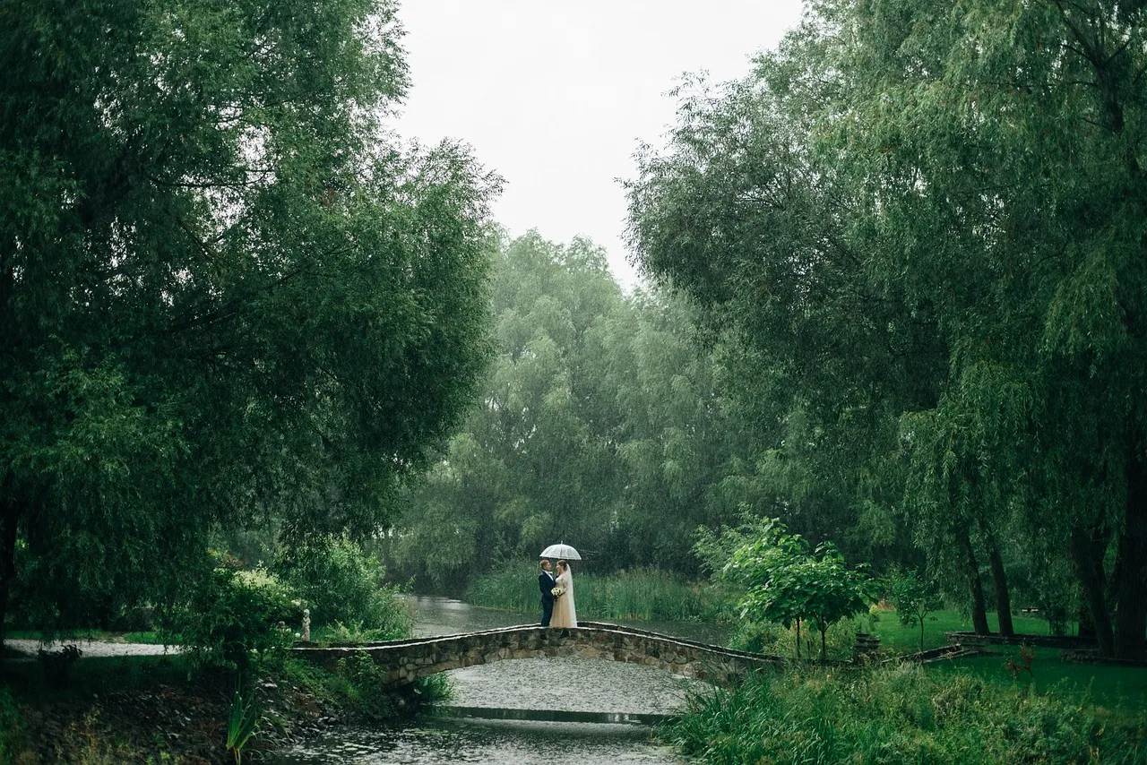 park, rain, wedding, couple, wedding day, nature, wedding photography, raining, trees, forest, landscape, rain, rain, rain, rain, rain, wedding, raining. Wedding and portrait season in Seattle and Portland, rain and short daylight